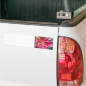 Autocollant De Voiture Stargazer (Sur camion)