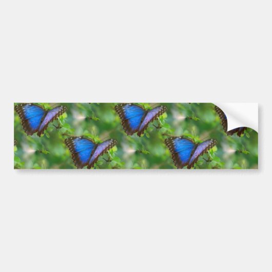 Autocollant De Voiture Sticker Bleu Butterfly (Devant)
