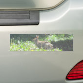 Autocollant De Voiture Sticker Bunny Wild (En voiture)