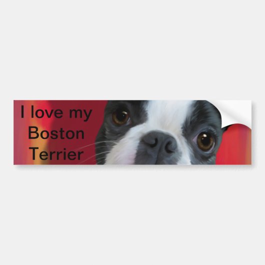 Autocollant De Voiture Sticker de Boston Terrier Bumper (Devant)
