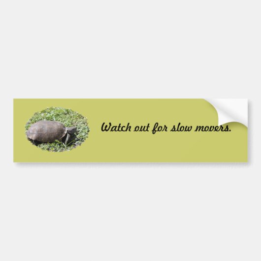 Autocollant De Voiture Sticker de pare-chocs, Tortue de gopher (Devant)