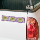 Autocollant De Voiture Sticker pare-chocs Cream Hollyhock (Sur camion)