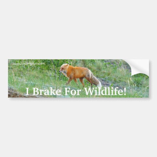Autocollant De Voiture Sticker pare-chocs Fox Wildlife Protection (Devant)