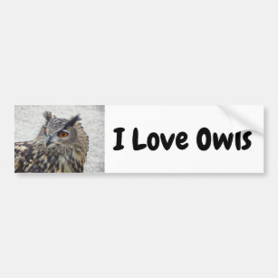 Autocollant De Voiture Sticker pare-chocs I Lols Owls