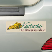 Autocollant De Voiture Sticker pare-chocs - KENTUCKY (En voiture)