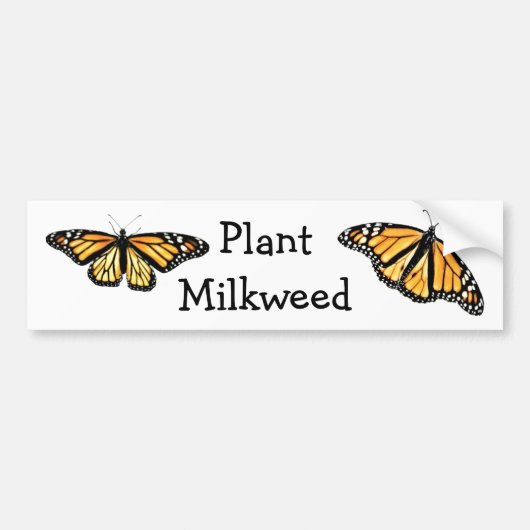 Autocollant De Voiture Sticker pare-chocs - Milkweed Plante (Devant)
