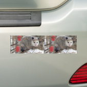 Autocollant De Voiture Sticker pare-chocs Opossum (En voiture)