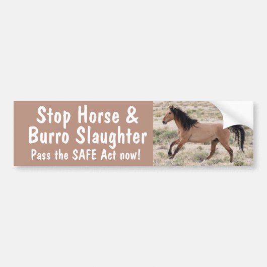 Autocollant De Voiture Sticker pare-chocs Stop Horse (Devant)