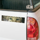 Autocollant De Voiture Sticker pare-chocs Wild Leopard Eyes (Sur camion)