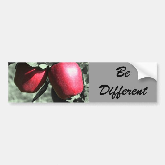 Autocollant De Voiture Sticker pour pare-chocs Motivationnel Différents P (Devant)