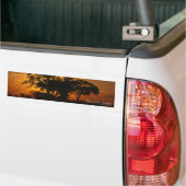 Autocollant De Voiture Sticleur pare-chocs Savannah Sunset (Sur camion)