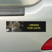 Autocollant De Voiture Sticule de pare-chocs de chat Maine Coon (En voiture)