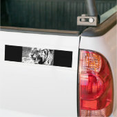 Autocollant De Voiture Sumatran Tiger (Sur camion)