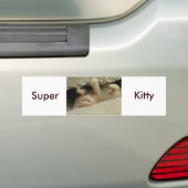 Autocollant De Voiture Super Héros Kitty Cat (En voiture)