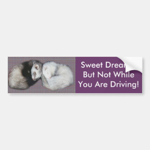 Autocollant De Voiture Sweet Dreams Ferrets