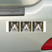 Autocollant De Voiture Syrus a choqué l'adhésif pour pare-chocs 0001 (En voiture)