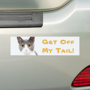 Autocollant De Voiture Tailler Whimsical "Descendez de ma queue" Chat