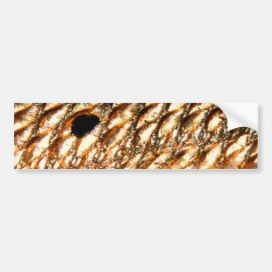 Autocollant De Voiture Tambour rouge de "rougets communs" - par