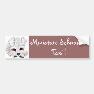 Autocollant De Voiture Taxi de Schnauzer miniature !