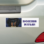 AUTOCOLLANT DE VOITURE TECKEL      (En voiture)