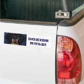 AUTOCOLLANT DE VOITURE TECKEL      (Sur camion)