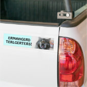 Autocollant De Voiture Terlgerters ! Ermahgerd ! Tailgaters de Kitty choq (Sur camion)