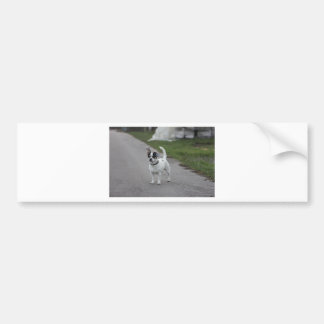 Autocollant De Voiture Terrier Dog looking Cute!