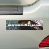 Autocollant De Voiture Tortue (En voiture)