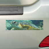 Autocollant De Voiture Tortues à Hawaii (En voiture)