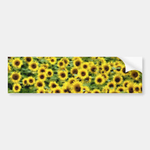 Autocollant De Voiture Tournesol