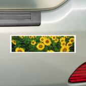 Autocollant De Voiture Tournesols (En voiture)