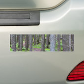 Autocollant De Voiture Traînée de forêt (En voiture)