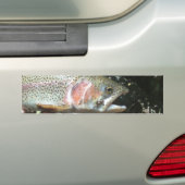 Autocollant De Voiture Truite arc-en-ciel (En voiture)