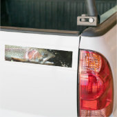Autocollant De Voiture Truite arc-en-ciel (Sur camion)