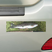Autocollant De Voiture truite arc-en-ciel et bobine de pêche à la mouche (En voiture)