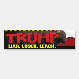 Autocollant De Voiture Trump - menteur, perdant, Sticker de pare-chocs