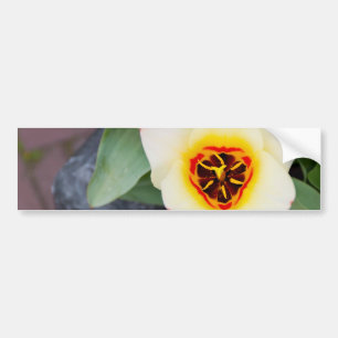 Autocollant De Voiture Tulipe