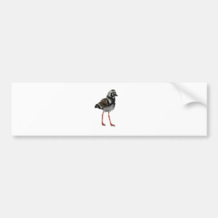 Autocollant De Voiture Turnstone vermeil