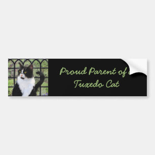 Autocollant De Voiture Tuxedo Chat dans la peinture de fenêtre Art animal
