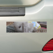 Autocollant De Voiture Un mignon lapin en robe (En voiture)