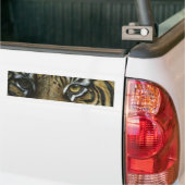 Autocollant De Voiture Un visage de tigre (Sur camion)