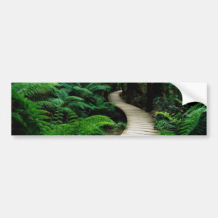 Autocollant De Voiture Une route au milieu de la forêt sauvage
