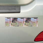 Autocollant De Voiture Vache blanche avec les oreilles étiquetées dans un (En voiture)