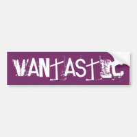 Van campers glamping VanTastic camp route de voyag