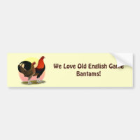 Vieux coq nain anglais de jeu :  Rouge de BB