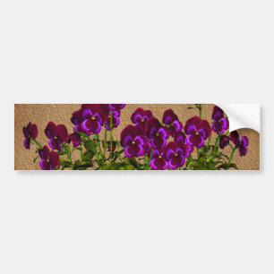Autocollant De Voiture Violettes pourpres sur floral de papier âgé