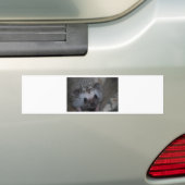Autocollant De Voiture Visage de hérisson (En voiture)
