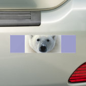 Autocollant De Voiture Visage de l'ours polaire (En voiture)