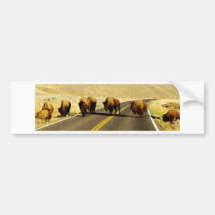 Autocollant De Voiture Vitesse de Buffalo de Yellowstone