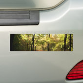 Autocollant De Voiture Vitrage de forêt (En voiture)
